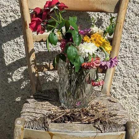 Magnifique Avec Vue Montagne Au Coeur Des Pyrenees דירה Izaut-de-l'Hotel