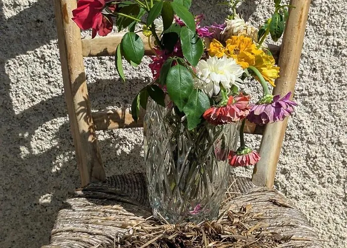 Magnifique Avec Vue Montagne Au Coeur Des Pyrenees Appartement Izaut-de-l'Hotel
